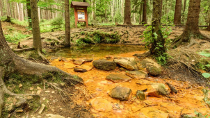 TIP na výlet: Sirný pramen u Nové huti