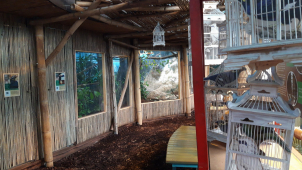 Horní patro pavilonu tropů prošlo kompletní rekonstrukcí