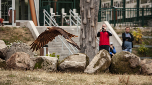 Program liberecké zoo obohatí setkání s ošetřovateli