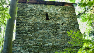 Z hradu Štěpanice zůstaly zbytky paláce a věže