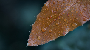 V kraji bude pršet, v horách se objeví i sníh