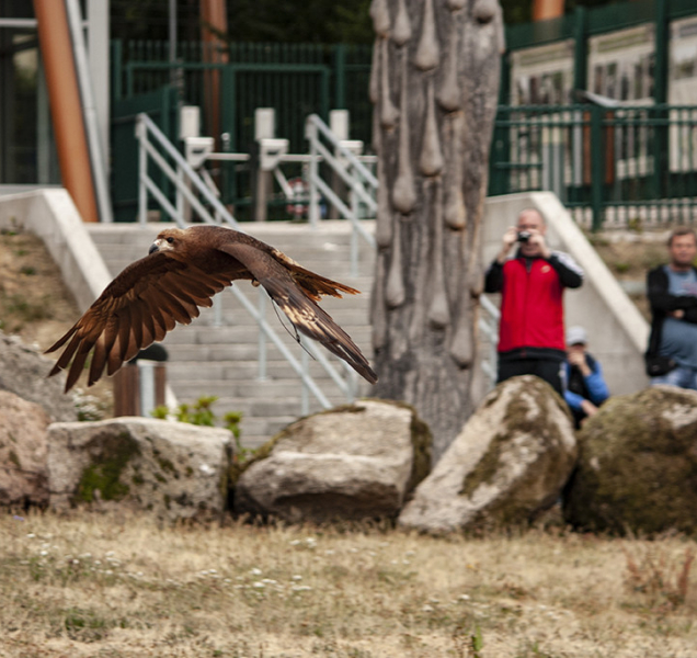 Program liberecké zoo obohatí setkání s ošetřovateli