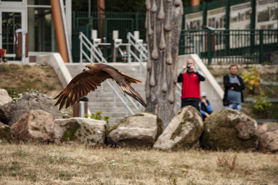 Program liberecké zoo obohatí setkání s ošetřovateli