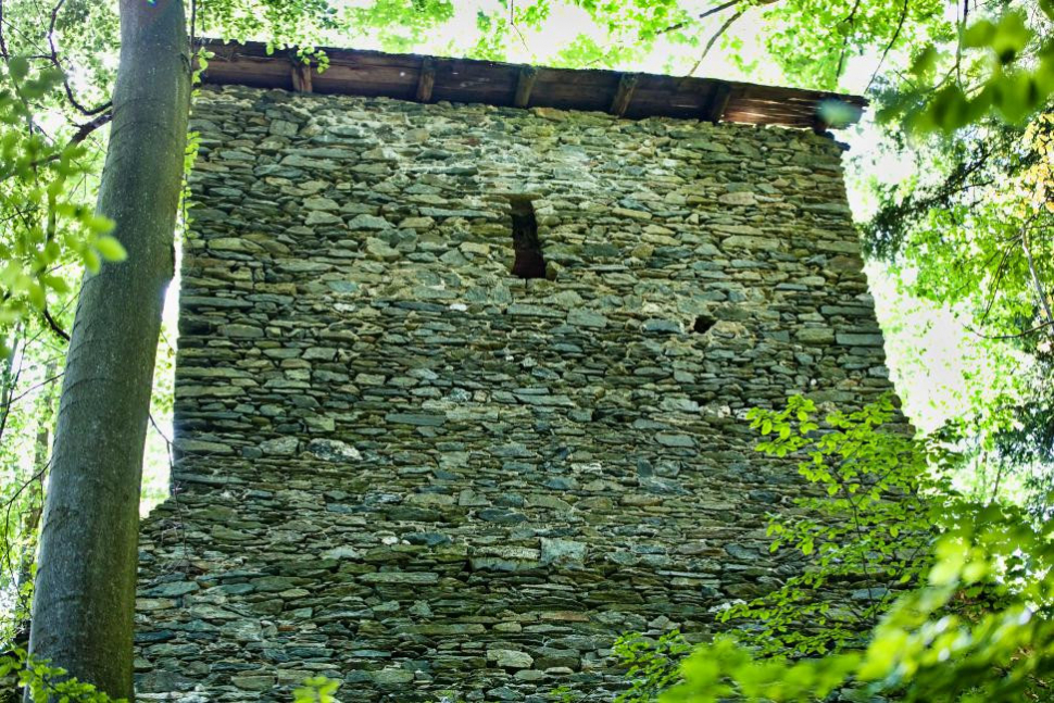 Z hradu Štěpanice zůstaly zbytky paláce a věže